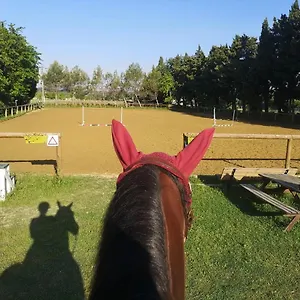 Du Poney Fringant - Prancing Pony Saint-Paul-Trois-Châteaux